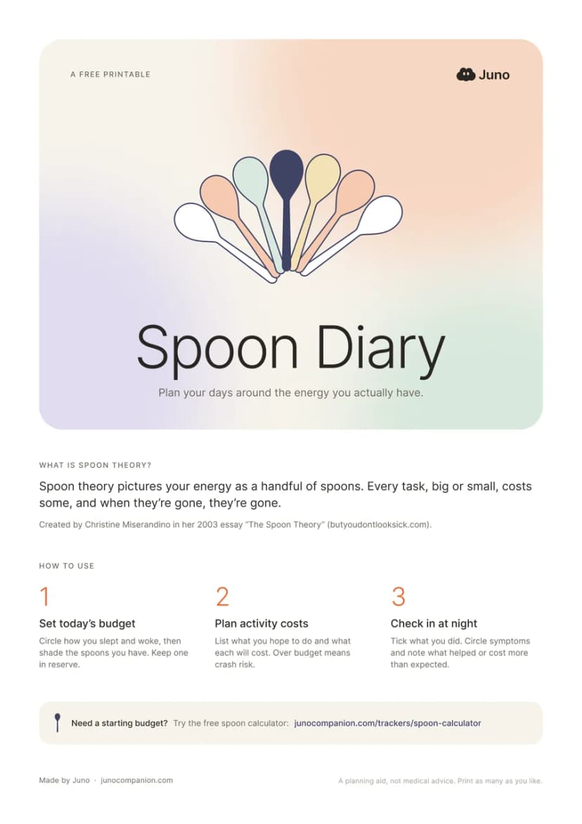 Spoon Diary cover page with a fan of coloured spoons and three how-to steps