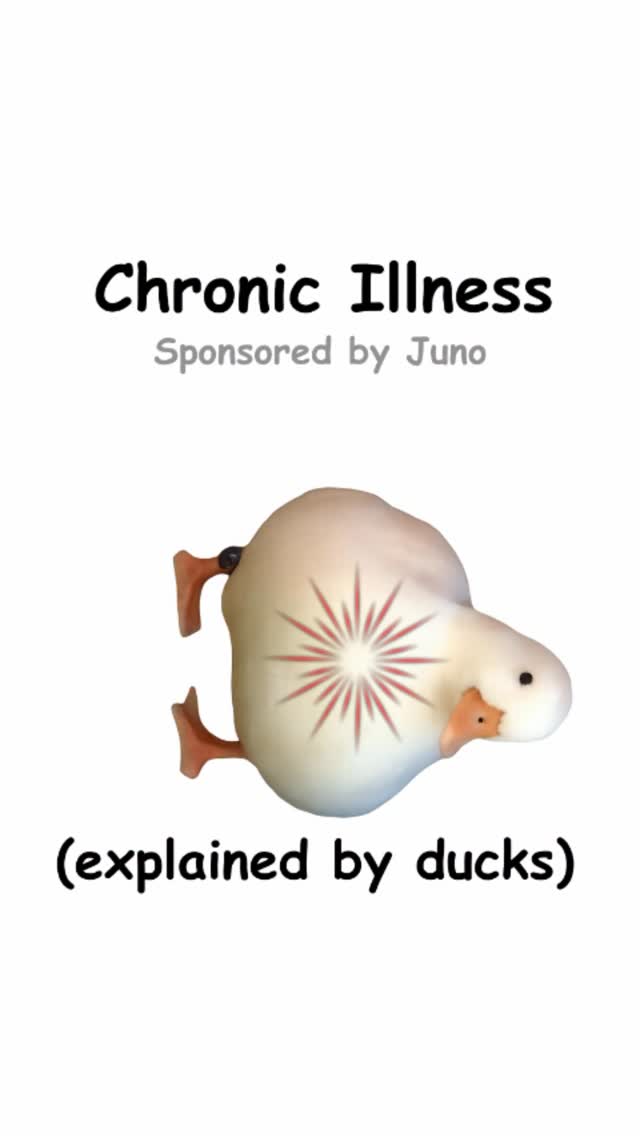 A video about Juno by @diploma.duck on Instagram.