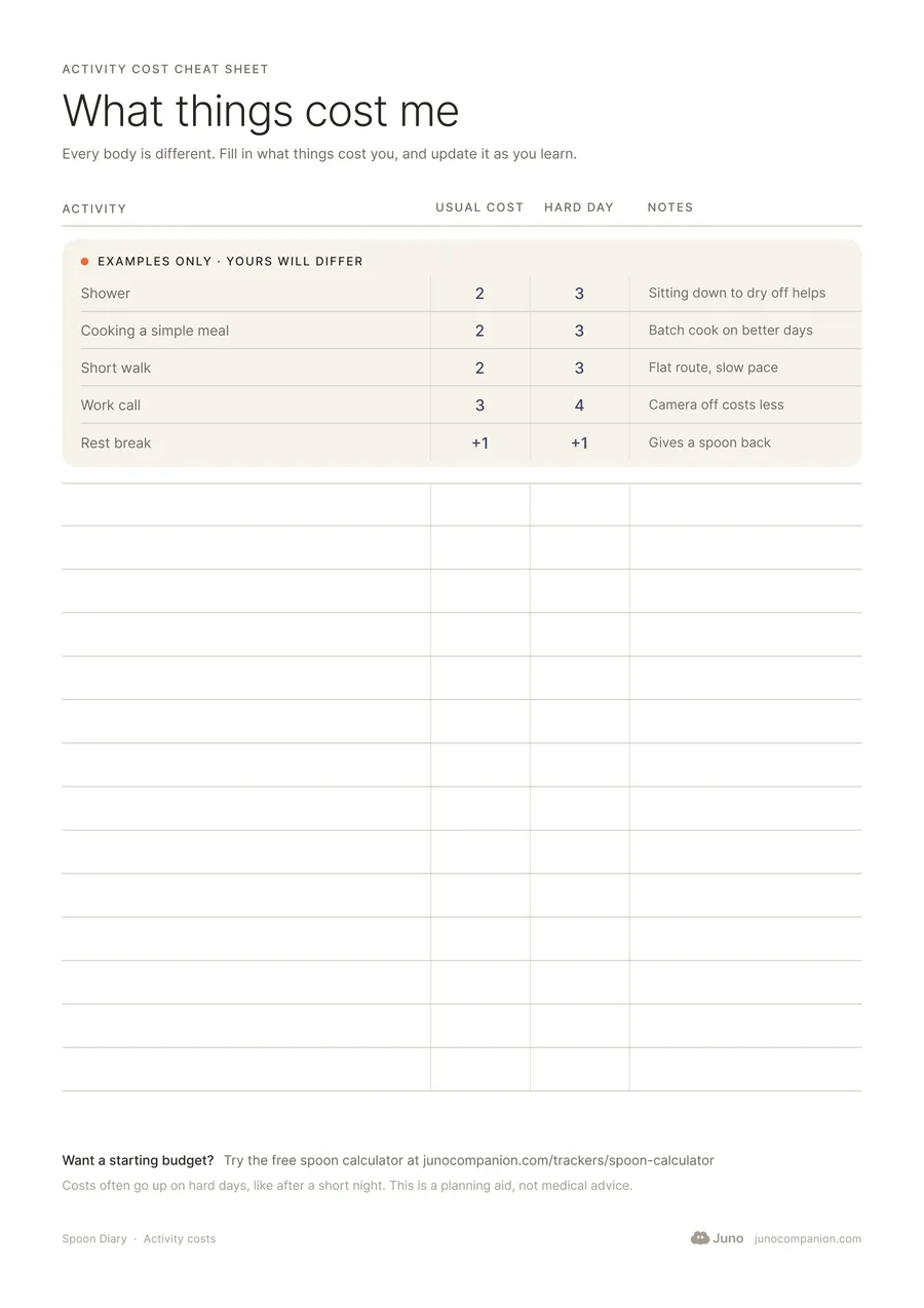Spoon Diary activity cost sheet with a few example rows